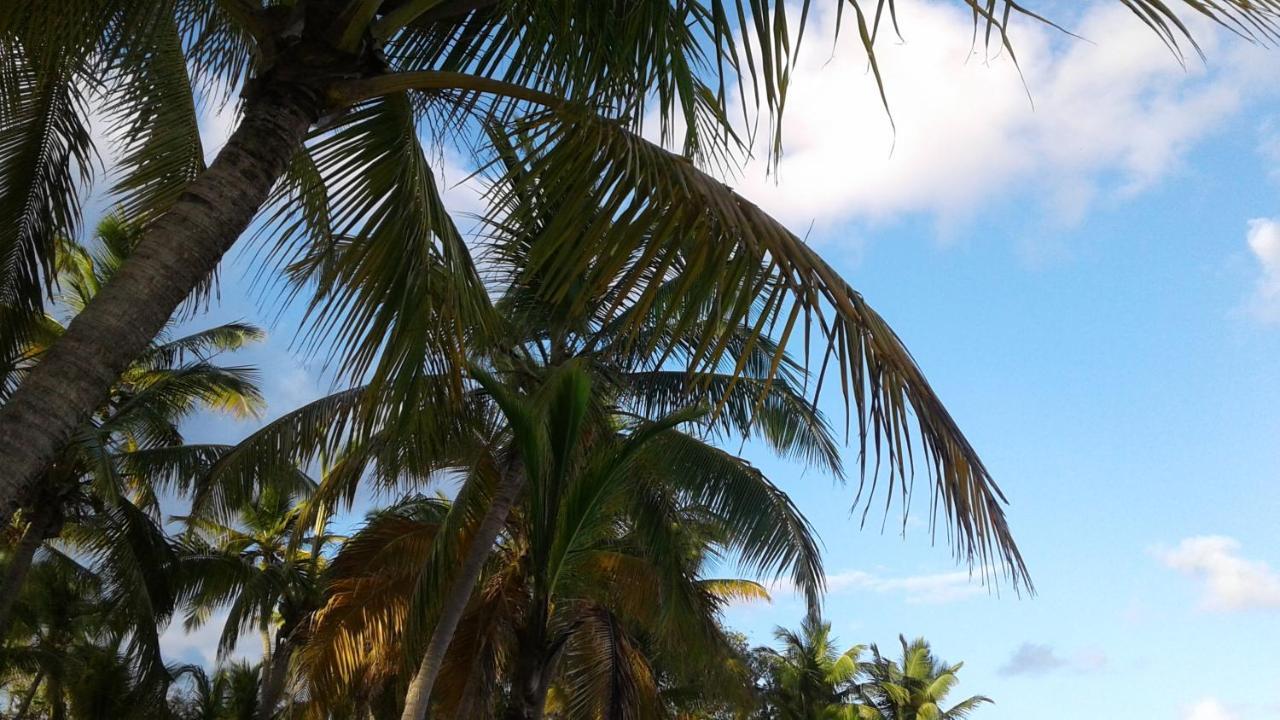 A Francois Vue Sur 90 M² Piscine Partagee * Saint-Francois (Grande-Terre)